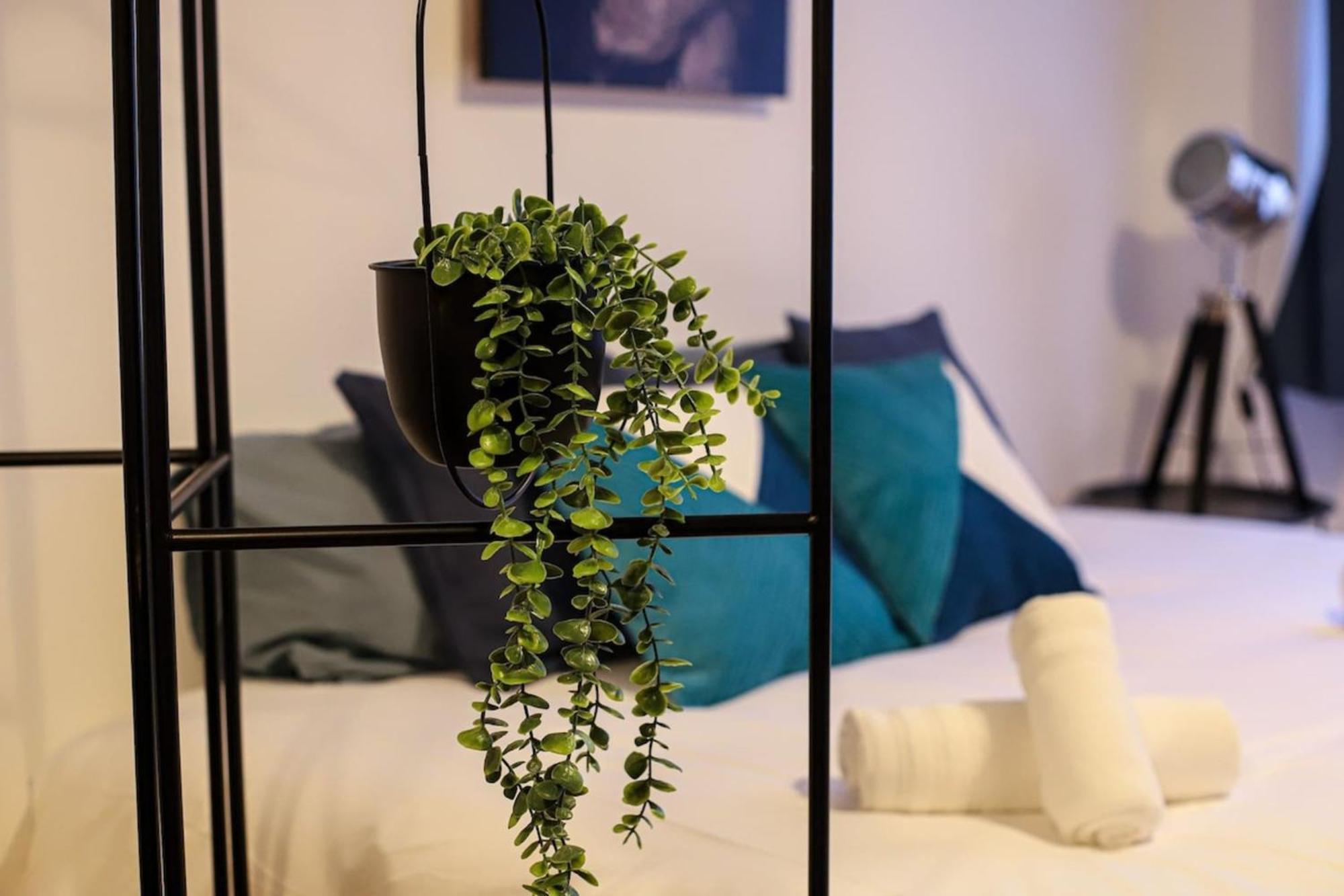 Parga 1 Hypercentre Toulouse - Capitole A 500M Apartment ภายนอก รูปภาพ